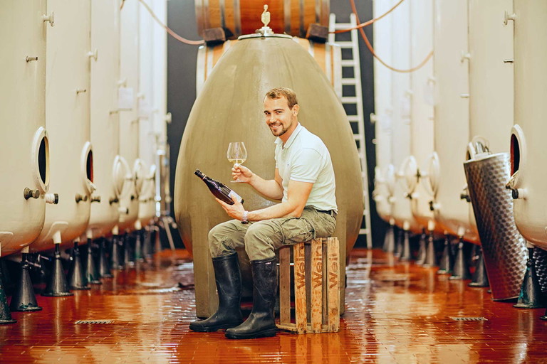 Steht sinnbildlich fürs Neue: das Beton-Ei,das Matthias Aldinger für den Sauvignon »Ovum« nützt.