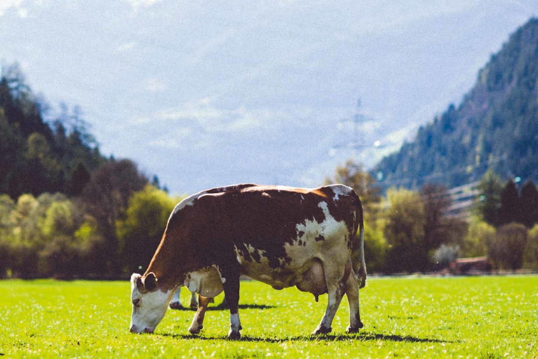Eine der Markenbotschafterinnen.