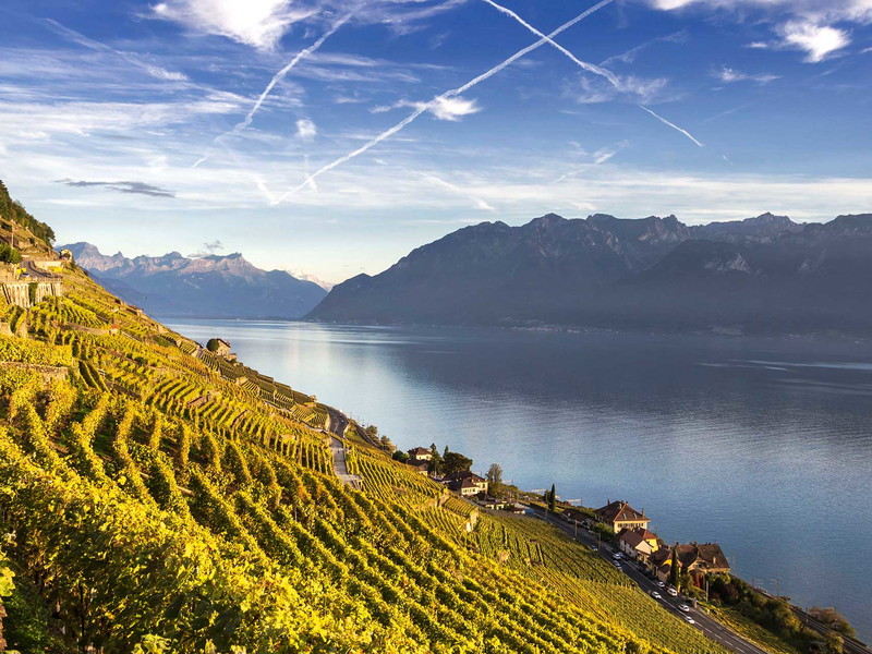 Aus der Grand-Cru-Lage Dézaley reift der Chasselas besonders gut.