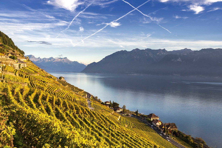 Aus der Grand-Cru-Lage Dézaley reift der Chasselas besonders gut.