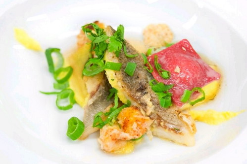 Wolfsbarschfilet mit rotem Rüben-Ravioli, Burrata, Panko Bröseln, Yuzu-Maiscreme und Korianderfond.