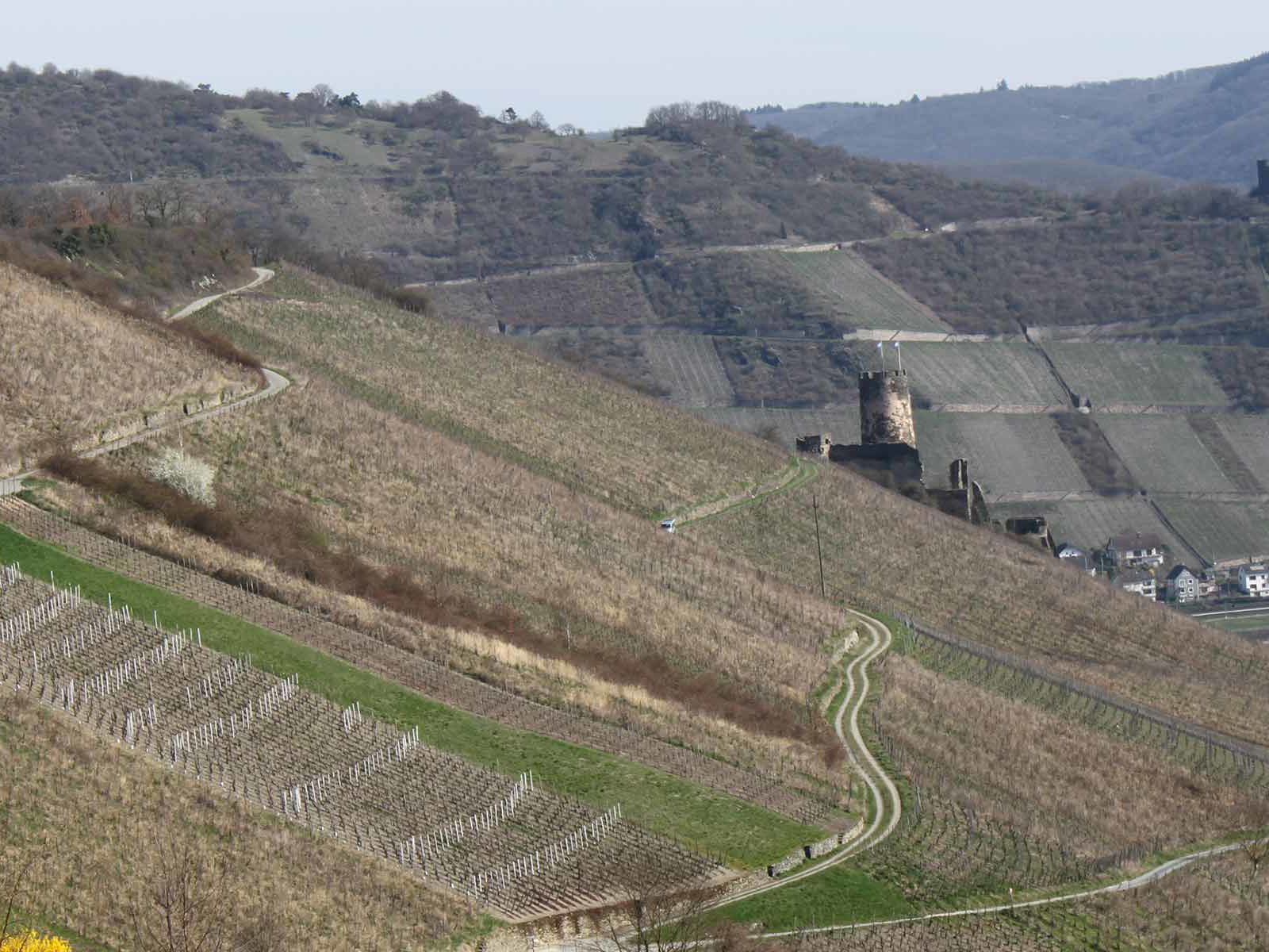 Mittelrhein-Impression mit der Burg Fürstenberg