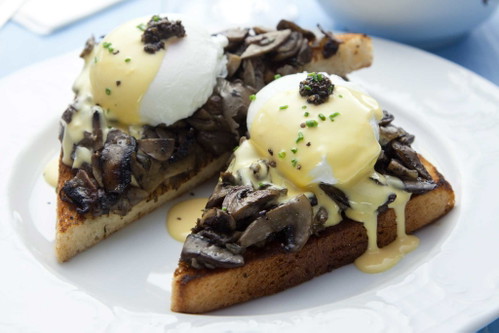Benedict Fungi.
