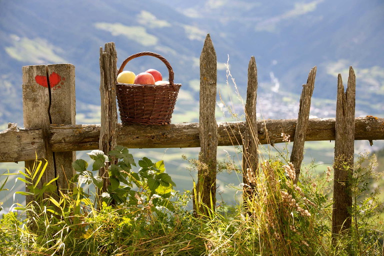 Äpfel aus dem Vinschgau werden von vielen regionalen Höfen verarbeitet.&nbsp;
