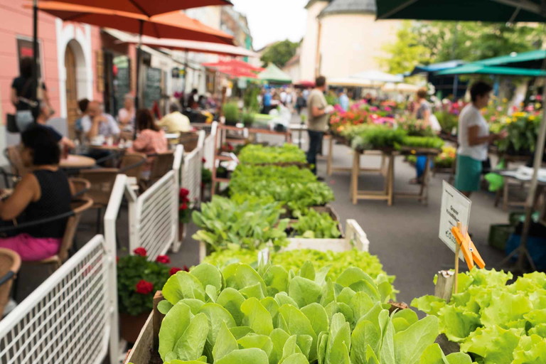 Spinat wird am Markt gleich direkt geerntet. Geschmack pur also.&nbsp;