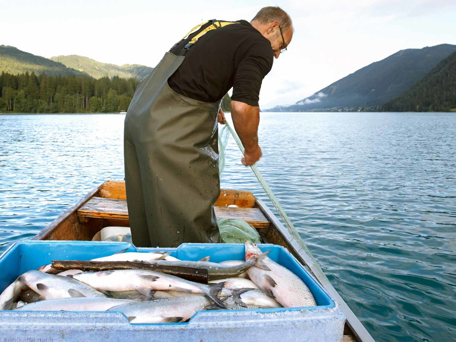 Der Fischer Martin Müller bei der Arbeit am Weissensee.