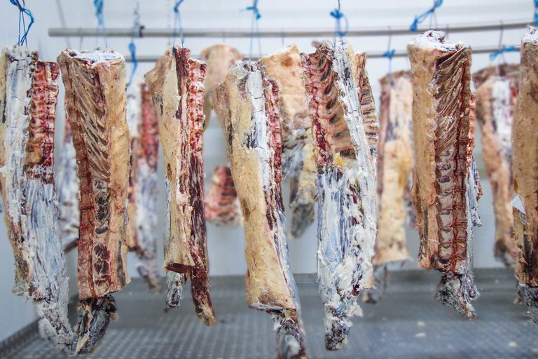 Dry-aged-Pionier «Otto Gourmet»: Reifung unter kontrollierten Luftbedingungen.