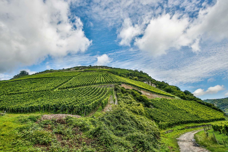 Bacharacher Lage Hahn: die Herkunft lange reifender Rieslinge, trocken, fruchtig und edelsüß.