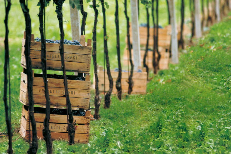 Aus Speris Sant’Urbano-Weinbergen kommenköstlicher Valpolicella und Amarone.&nbsp;