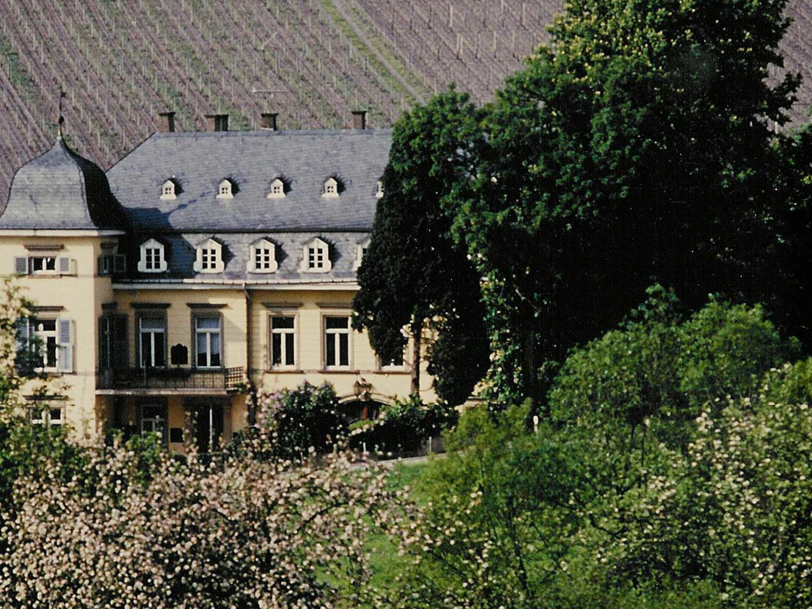 Ein Weingut mit Tradition: Die Weinberge rund um den Scharzhof sollen bereits in der Römerzeit existiert haben.