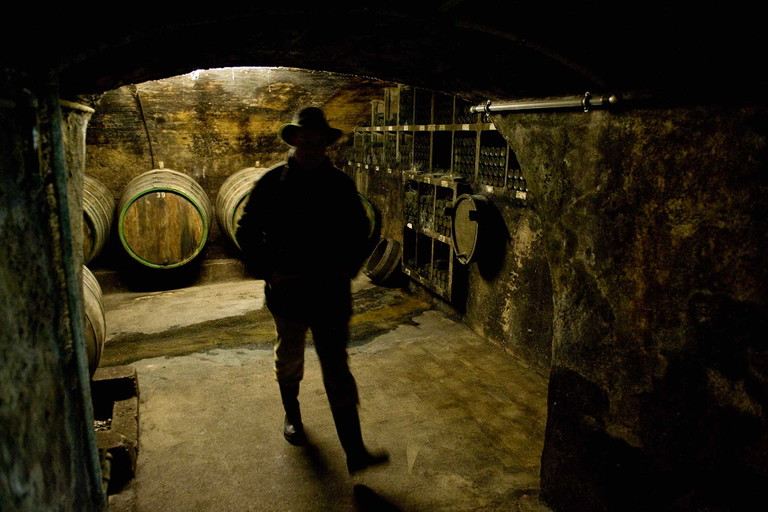Mosel muss genauso reifen wie Bordeaux – dafür legt Nik Weis in Rebberg und Keller die Grundlagen.