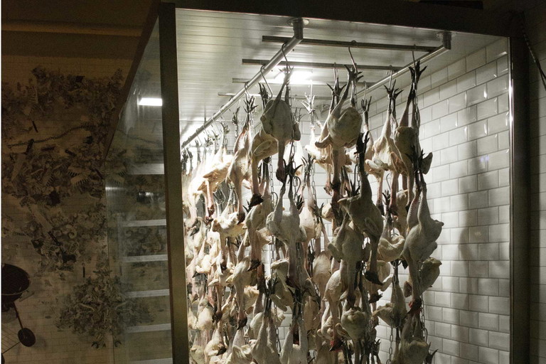 Dry-aging-Raum für Geflügel bei Otto Gourmet: ein Produkt für echte Feinschmecker.