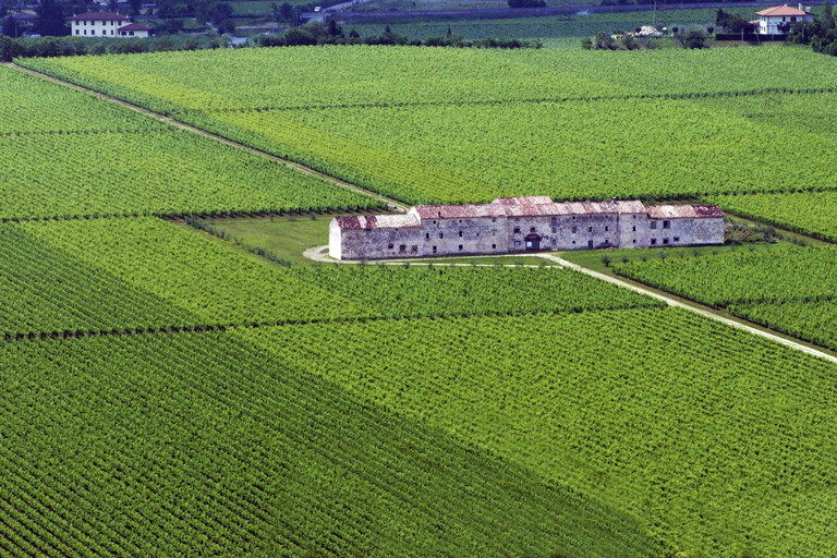 Tommasi zählt zu den Leadern des Valpolicella.