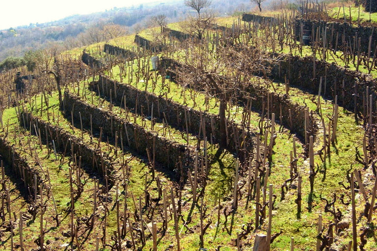 Der Boden um den Ätna ist reich an Mineralien – Frank Cornelissen nutzt das für seinen Weinanbau.