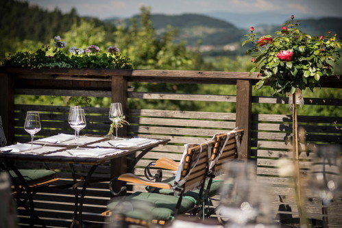 Traumhafte Umgebung: Die Südsteiermark. 