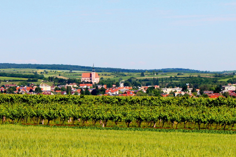 Die Weinstadt Poysdorf lädt zum gemeinsamen Verkosten ein.