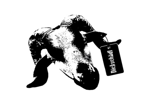 Dosenfutter und witzige T-Shirts: Das Merchandise des »Gut Purbach« stellt auch den leidenschaftlichsten Fan zufrieden.