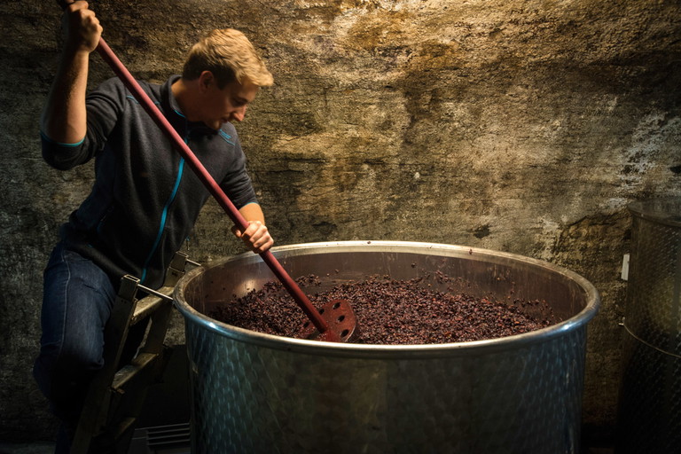 Roséproduzent aus Deutschland: das Weinut August Kesseler.