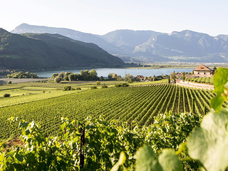 Weingenuss in den Vinum Hotels Südtirol.