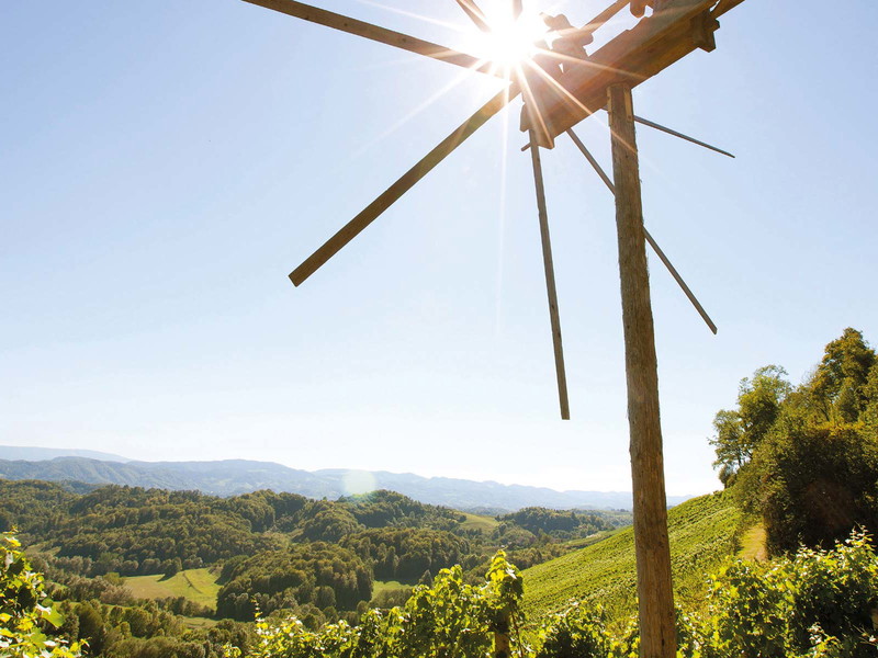 Die als Klapotetz bezeichneten Windräder sollen durch das Klappern der Holzbalken Vögel aus den Weingärten vertreiben.
