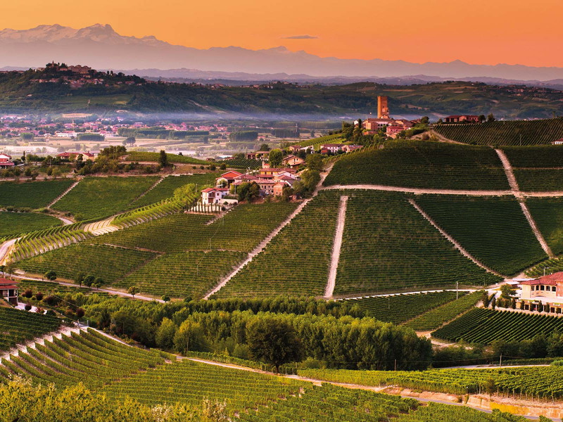 Panorama-Aufnahme des Ortes Barbaresco: Hier regiert der große Angelo Gaja.