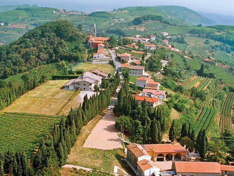 Die Aziende Agricole Associate Visco &amp; Filippi.