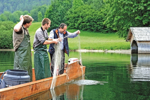 Ausseerland. Der gebürtige Steirer Johann Lafer beim Fischen in der Heimat.