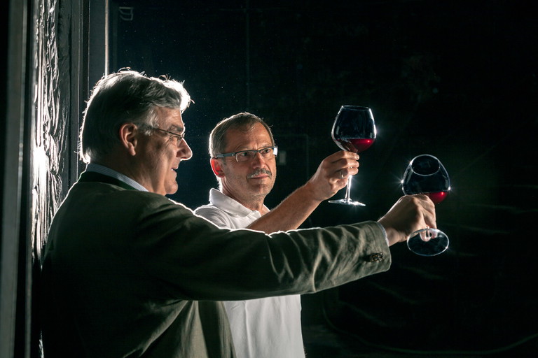 Die Vorfahren des Grafen von Neipperg brachten einst den Lemberger von Österreich nach Schwaigern. 