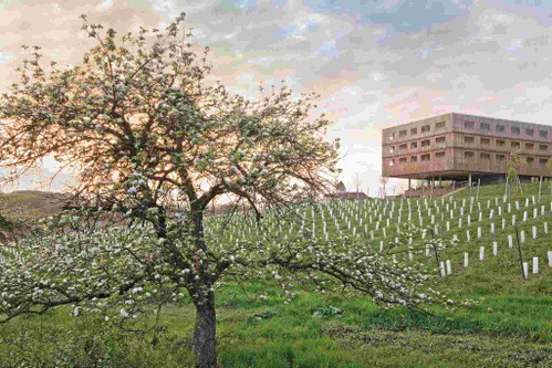 Seit 2015 mit Medical Spa: Das »LOISIUM Wine &amp; Spa Resort« in den Weinbergen der Südsteiermark.