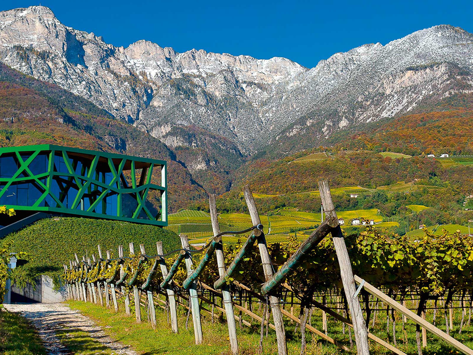 In traumhafter Lage befindet sich die Kellerei Tramin.