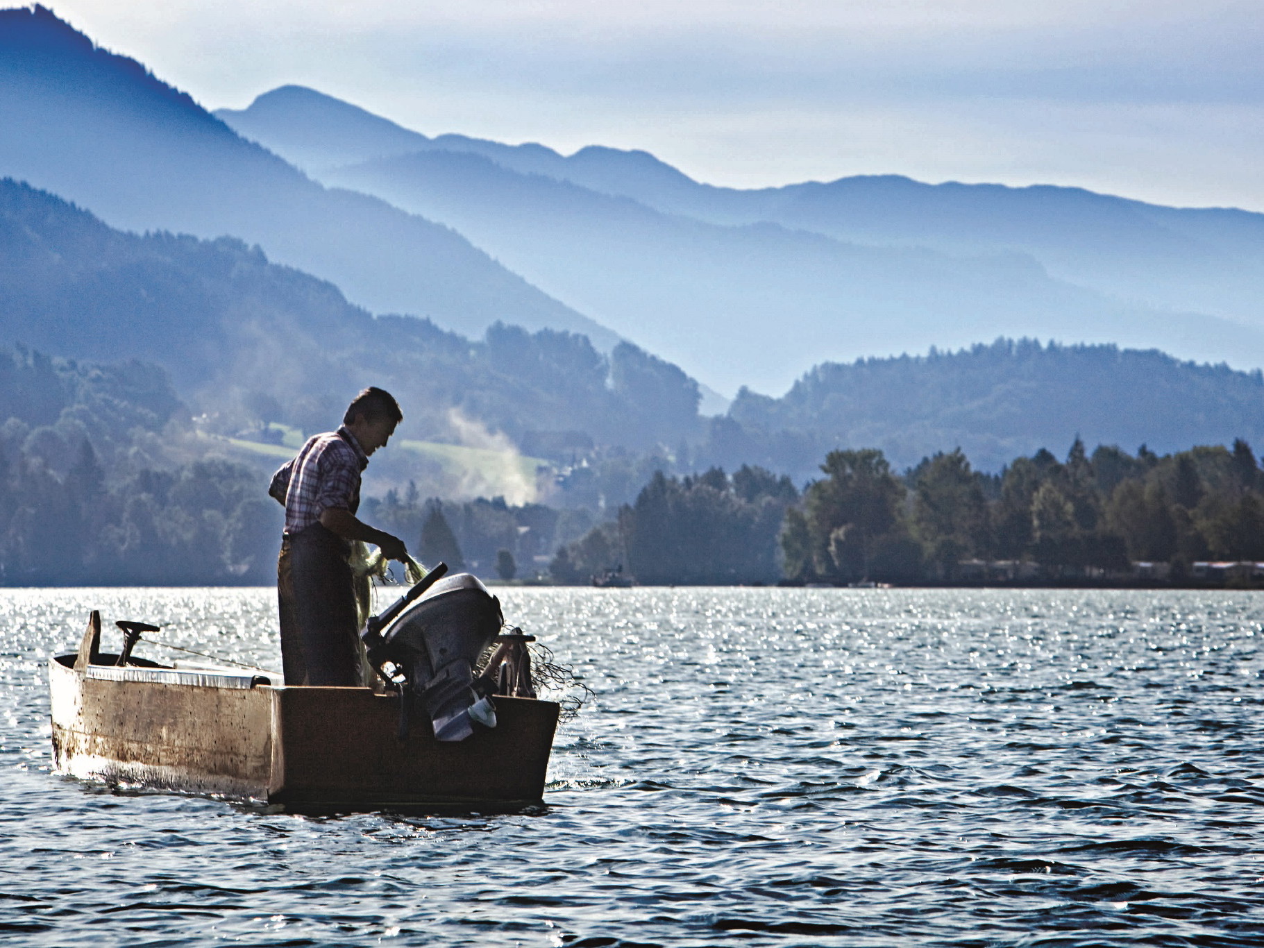 Salzburger Land: Die Fische dürfen in den Seen frei aufwachsen.
