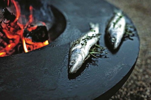Zander. Fisch aus heimischen Gewässern – fast schon ein Gütezeichen.
