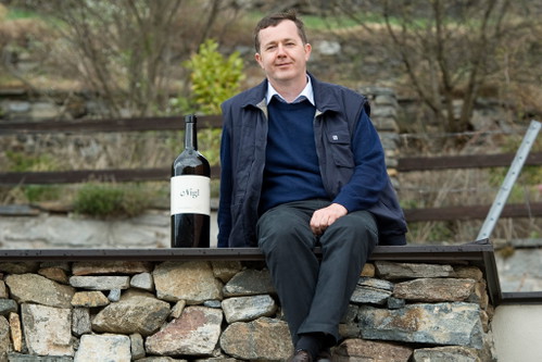 96 PunkteGrüner Veltliner Kremstal DAC&nbsp;Ried Senftenberger Pellingen Privat 1 ÖTW 2016Wein-Gut Nigl, Senftenberg, Kremstal, k. A.