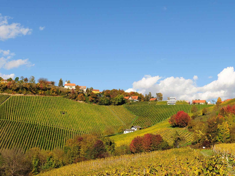 Die berühmte Lage Zieregg mit dem Weingut Tement