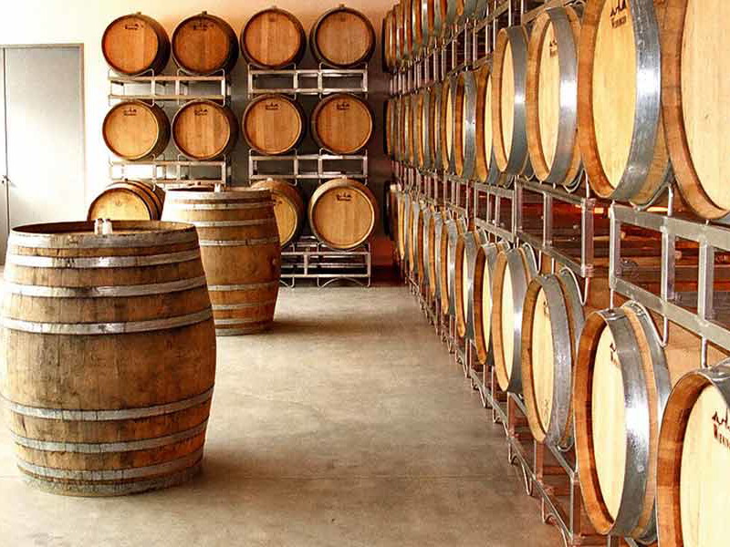 Hier reifen die grandiosen Chardonnays von Fritz Wieninger.