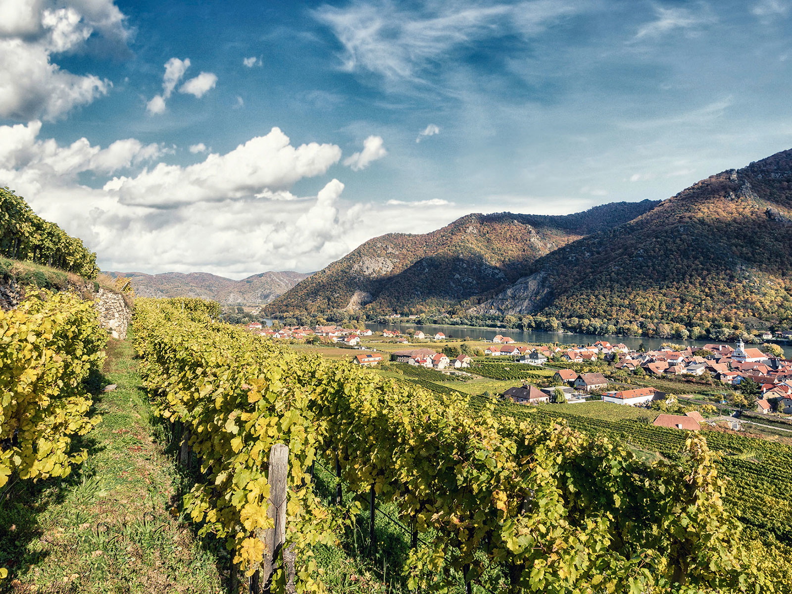 Blick vom Kollmitz auf Wösendorf in der Wachau, wo Rudi Pichler seine Prachtweine keltert.