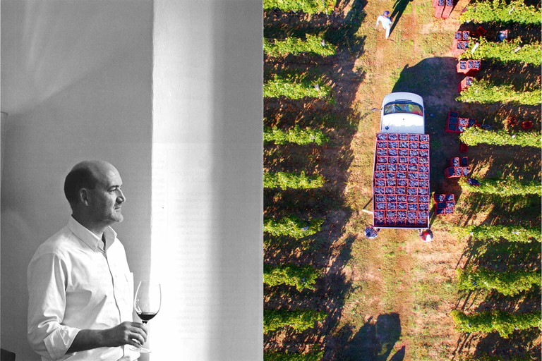 Karl-Heinz Hauptmann, der gemeinsam mit Stephan Neipperg Bessa Valley in Bulgarien besitzt, steht hinter Alira in Rumänien.