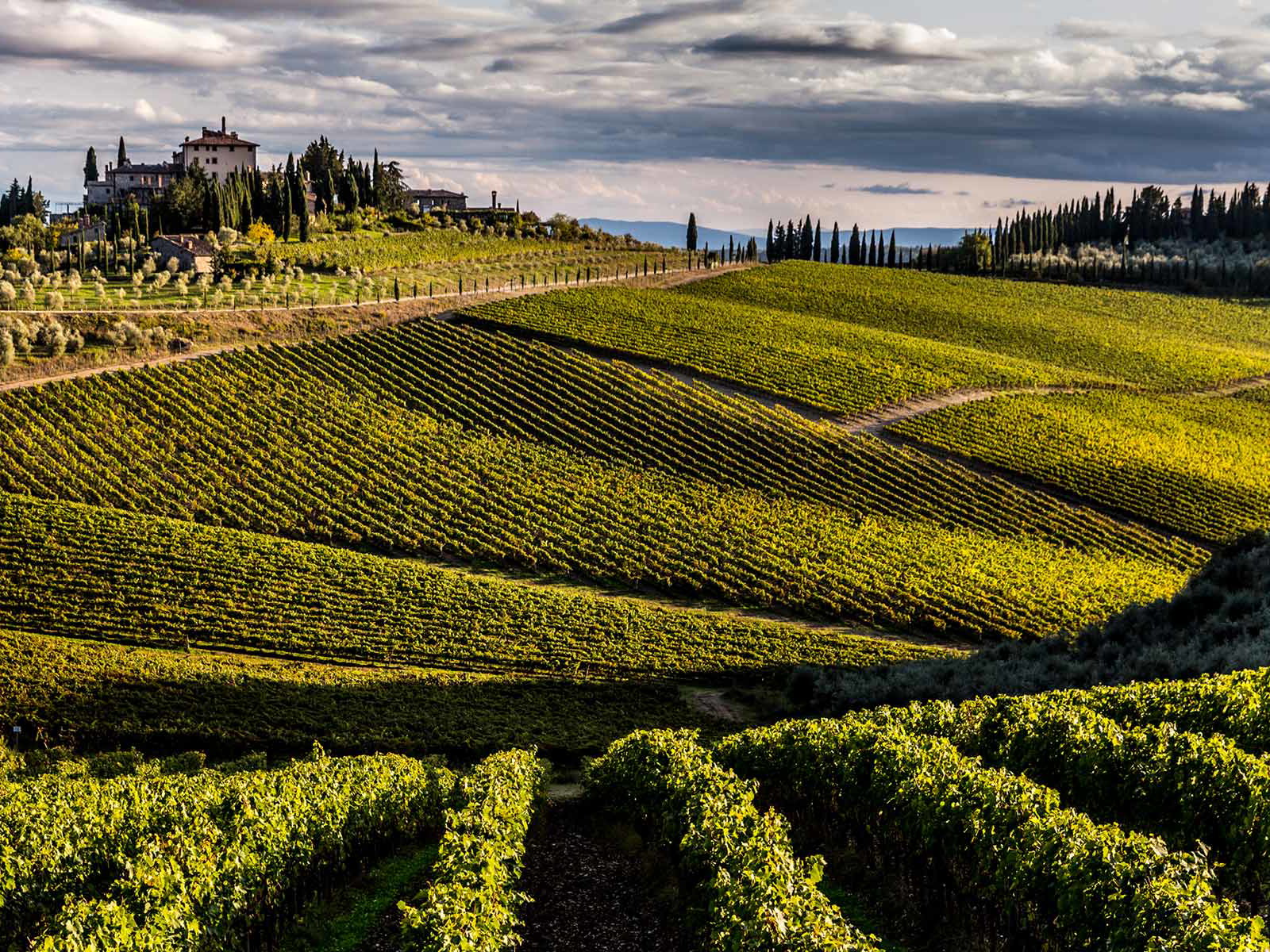 Tenuta San Donato