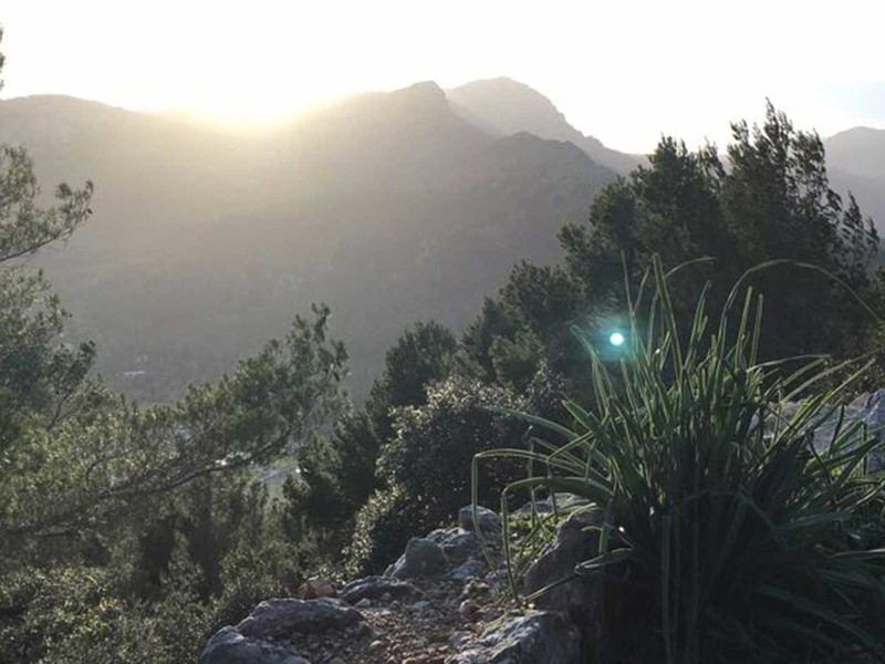 Mallorca ist nicht nur landschaftlich, sondern auch kulinarisch besonders reizvoll. 