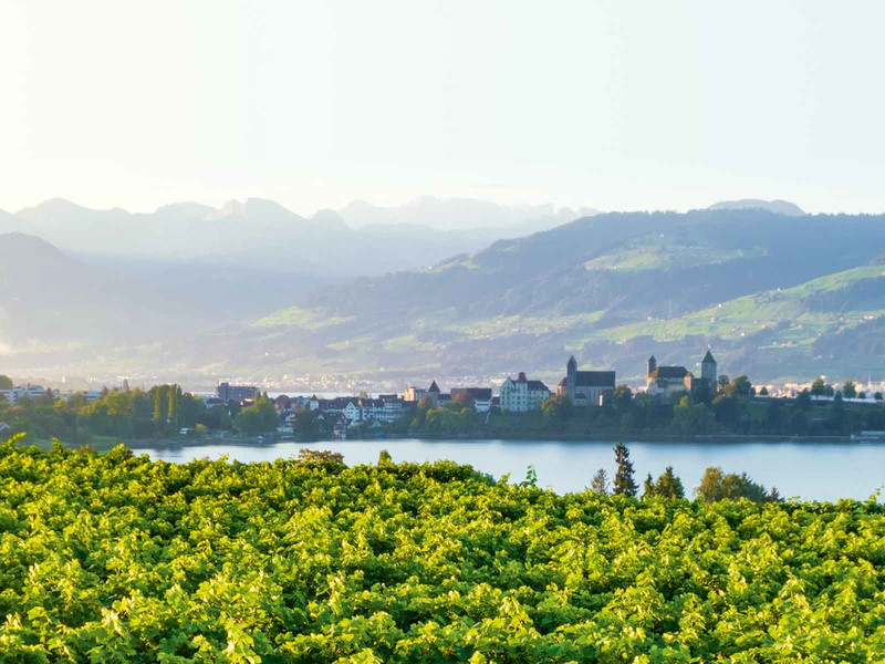 Blick vom Weingut Höcklistein auf die Bucht von Kempraten und Rapperswil.