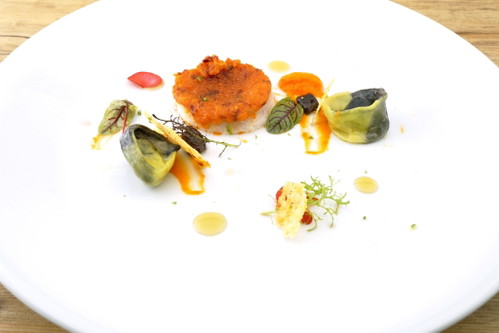 Dominik Kellner: Waller mit Black Tiger Garnele, Tomatenflocken &amp; Hanf-Öl.