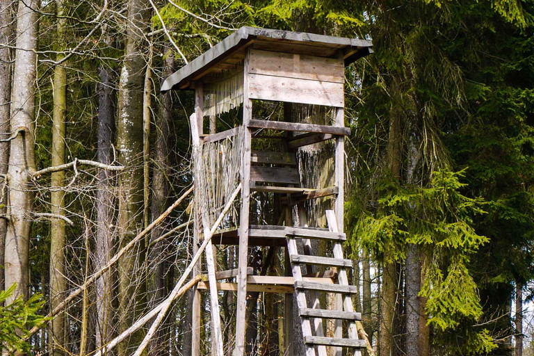 Rund drei Viertel der Rehe und Böcke werden vom Hochsitz aus geschossen. Das erspart den Tieren Stress.