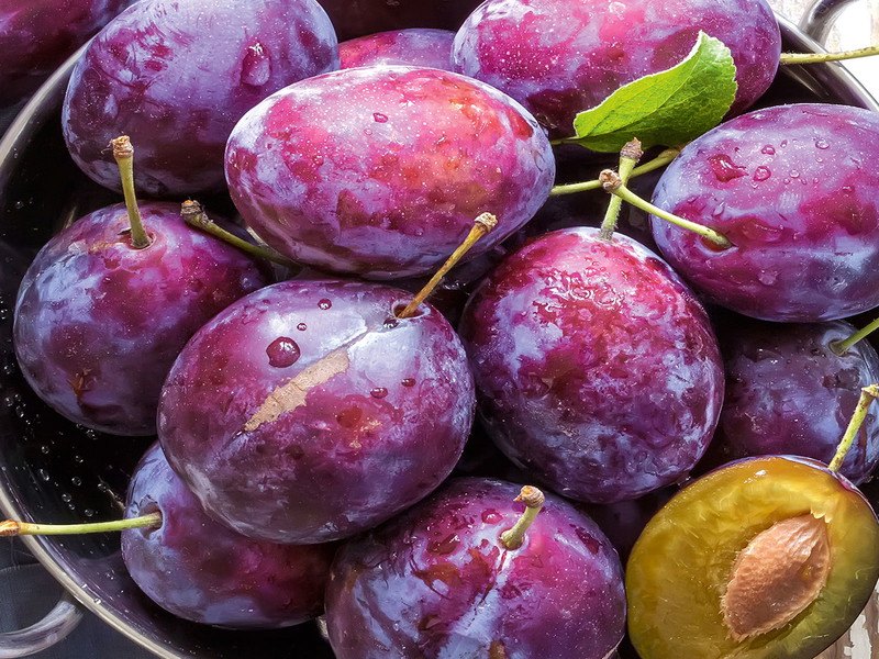 Ein Klassiker, wenn Frucht in Brand verwandelt wird: die Zwetschke.&nbsp;