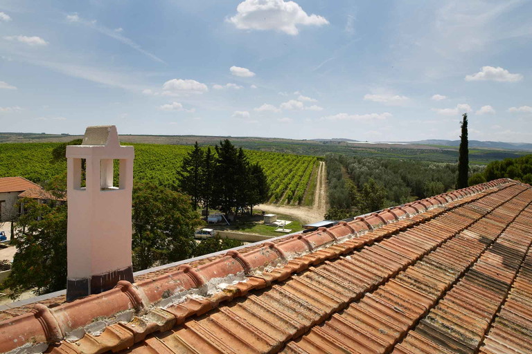 Die Tenuta Ognissole erzeugt bei Taranto ausgezeichneten Negroamaro und Primitivo.