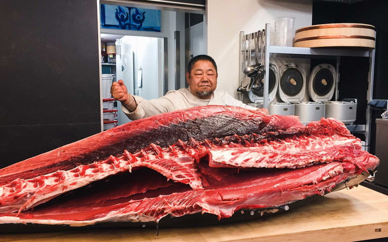 Auch im Wiener «Shiki» wird von Zeit zu Zeit Blauflossen-Thunfisch mit hohem Fettgehalt und feiner Maserung serviert.