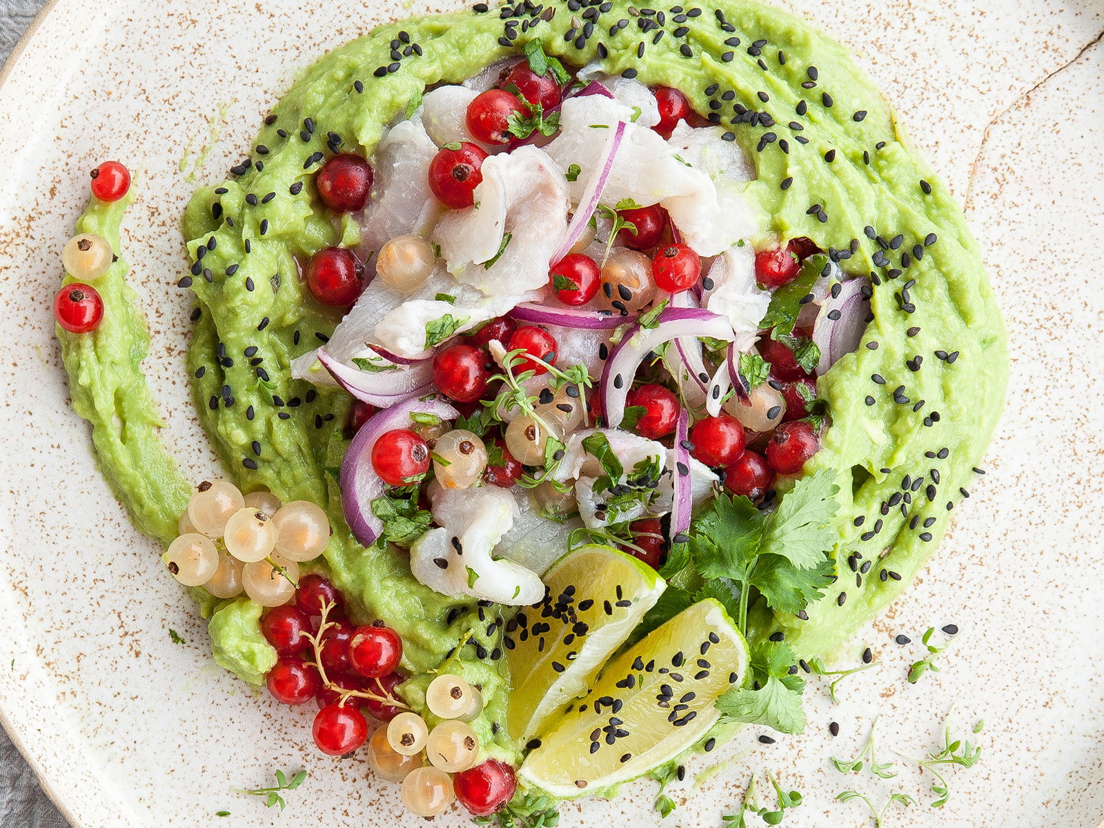 Forellen Ceviche mit Avocado Creme von Eva Fischer.