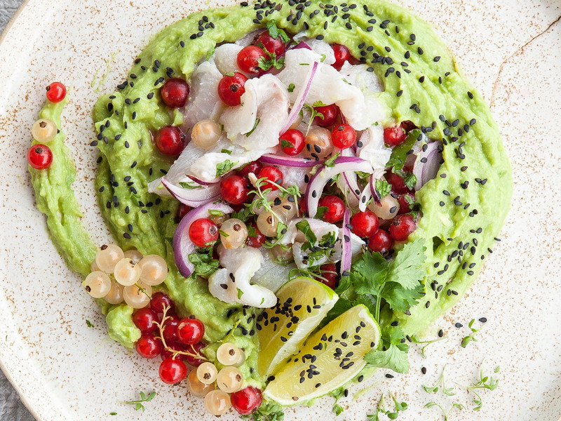 Forellen Ceviche mit Avocado Creme von Eva Fischer.