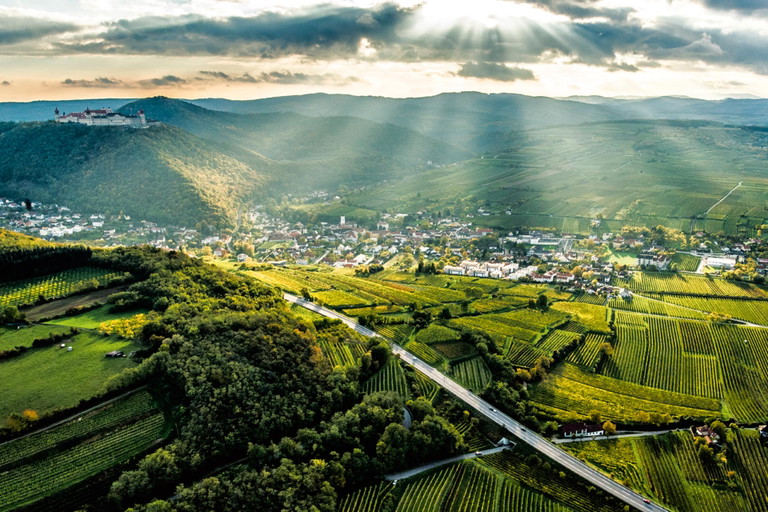 Im Kremstal haben vor allem die Rieslinge großes Potenzial.