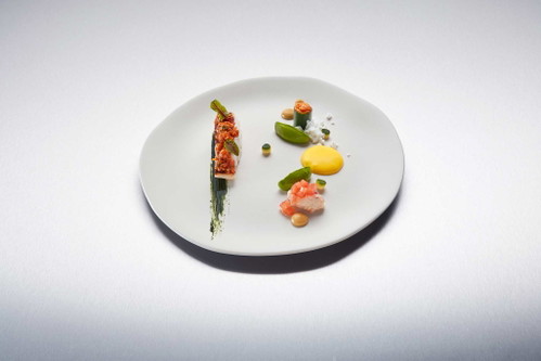 Virrey Fisch, Königskrabbe, Tomaten, Safran, Plankton