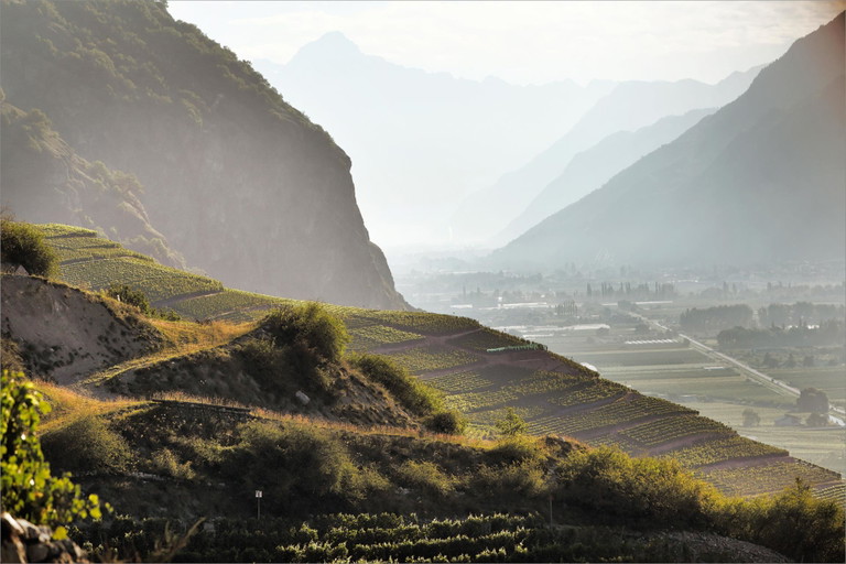 Alpenkulisse: Im Wallis wachsen die Süssweine von Marie-Thérèse Chappaz, die besten der Schweiz.